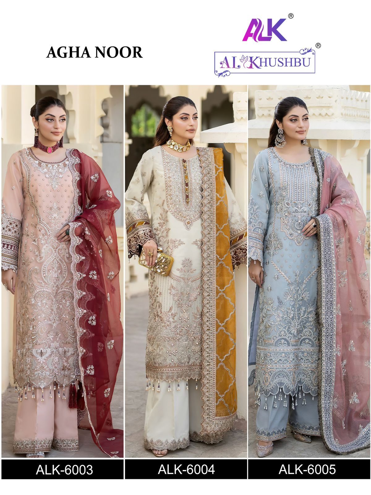 Agha Noor 6003-6005 Alk Georgette Pakistani Salwar Suits Wholesale