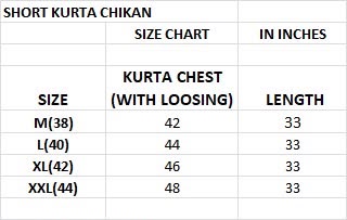 Chikankari 2.0 Short Bluehills Rayon Mens Kurta Supplier Gujarat