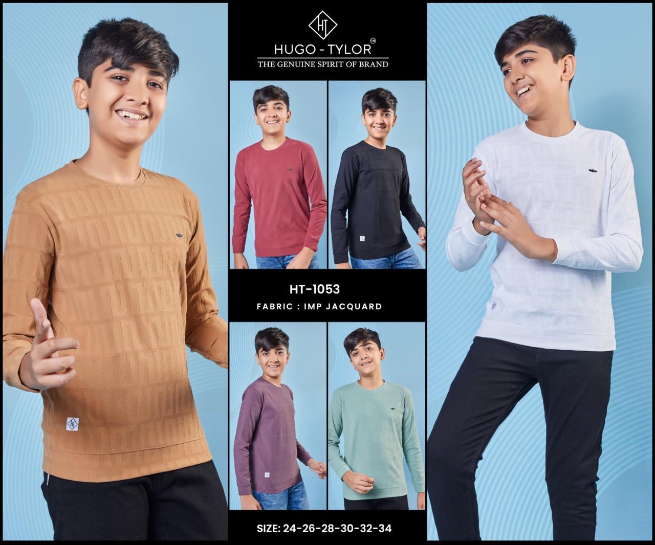 Full Sleeves Ht 1053 Hugo Tylor Imported Boys Tshirt Supplier Gujarat