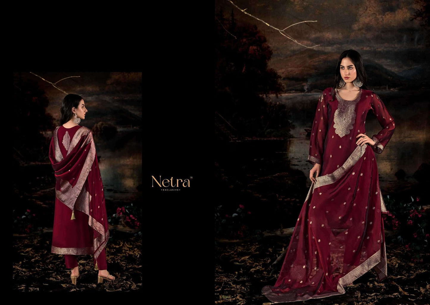 Kaisha Netra Premium Pant Style Suits Supplier India
