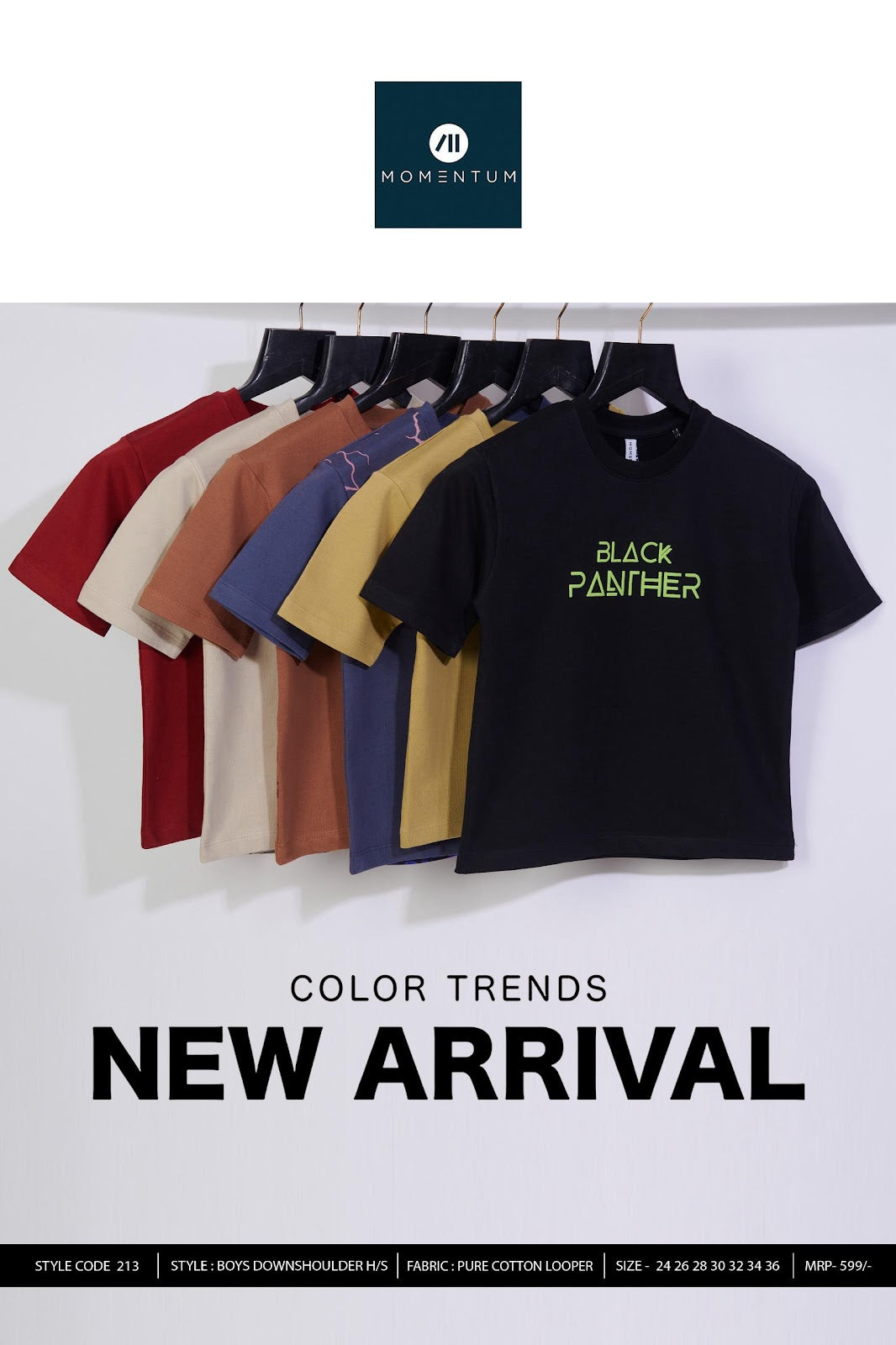 Style Code 213 Momentum Cotton Looper Boys Tshirt Wholesaler Gujarat