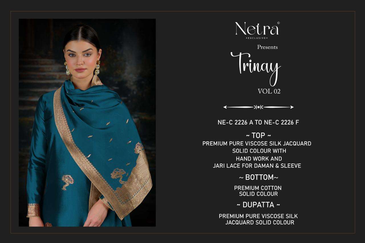 Trinay Vol 2 Netra Viscose Silk Pant Style Suits Supplier Ahmedabad