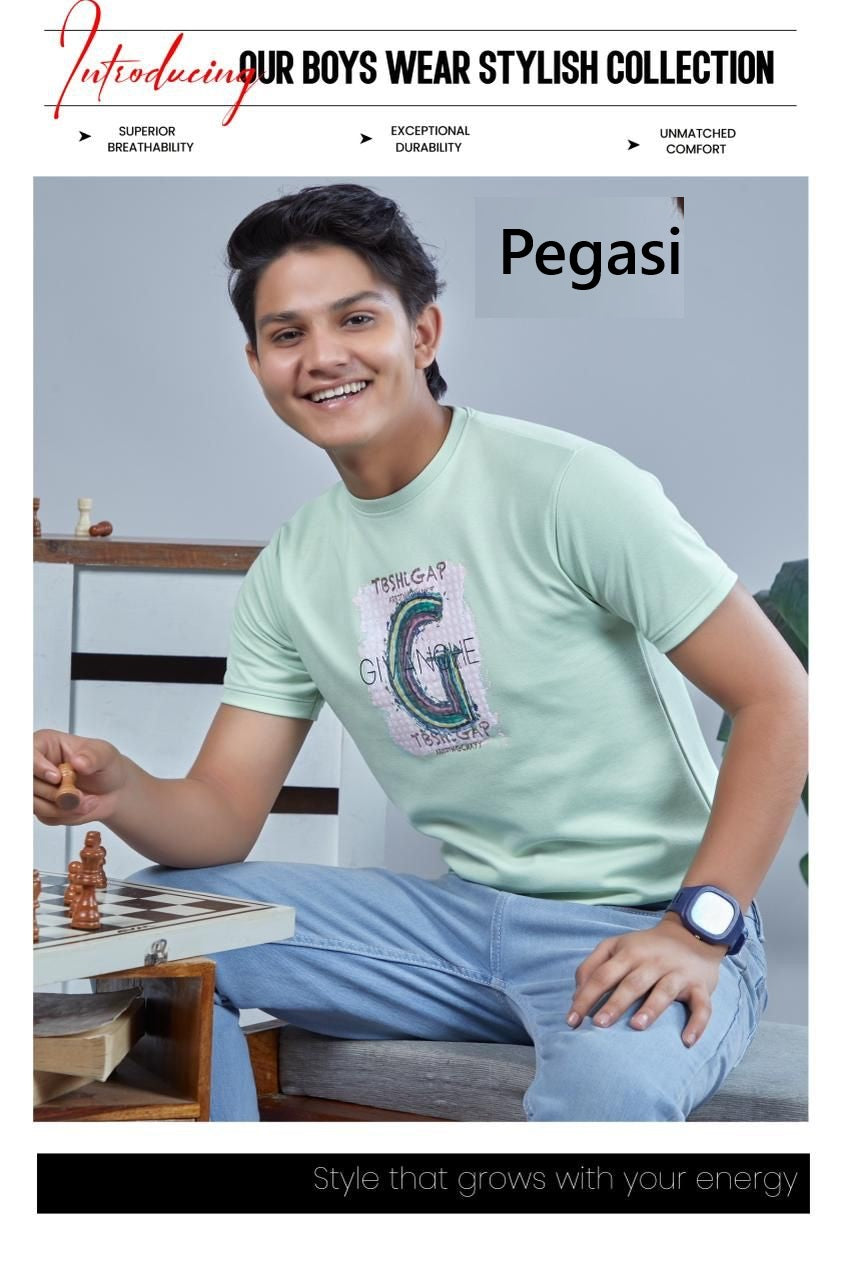 Vol Pj006 Pegasi Canvas Boys Tshirt Wholesale Rate