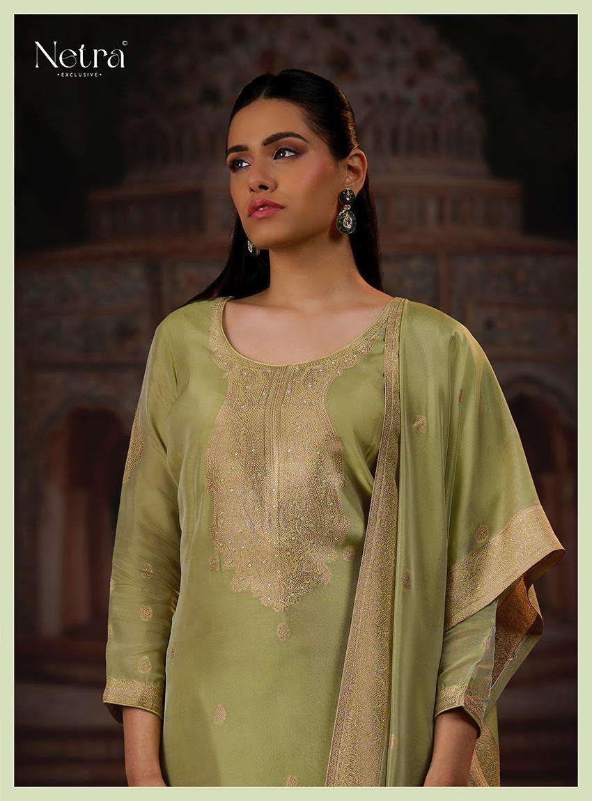 Vrisa Vol 5 Netra Premium Viscose Pant Style Suits Wholesaler Gujarat