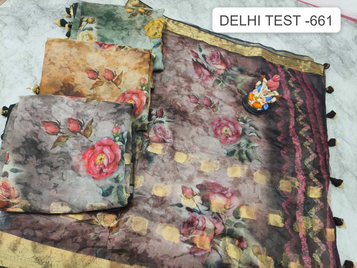 Delhi Test 661 Kalpveli Organza Sarees