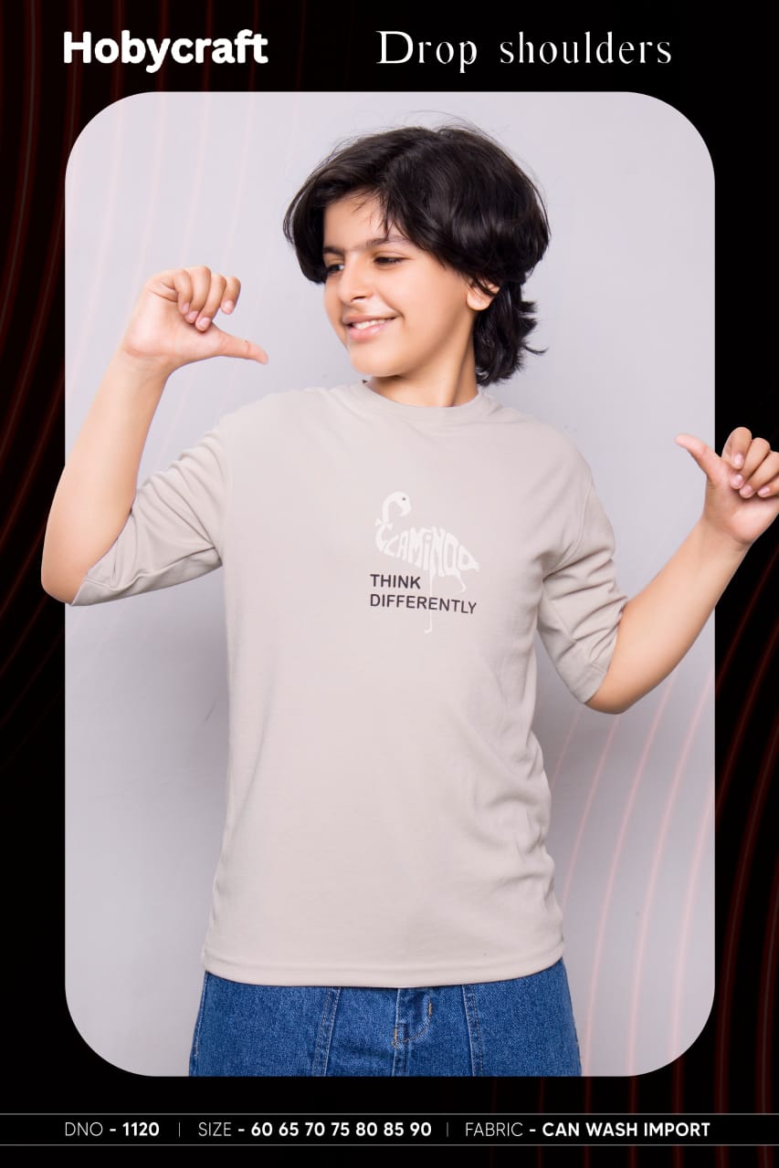 200 Gsm Design 1120 Hobycraft Canvas Boys Tshirt Wholesale Price