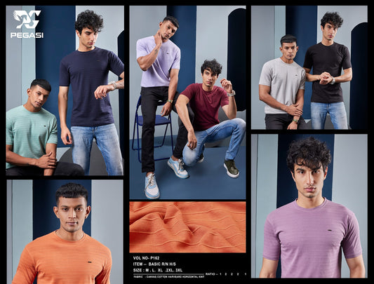 200 Gsm P 162 Pegasi Cotton Mens Tshirts Supplier Ahmedabad
