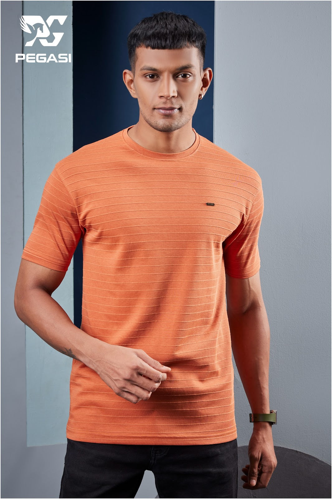 200 Gsm P 162 Pegasi Cotton Mens Tshirts Supplier Ahmedabad