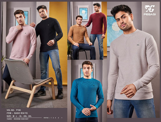 260 Gsm Vol No P 190 Pegasi Knit Mens Tshirts Exporter