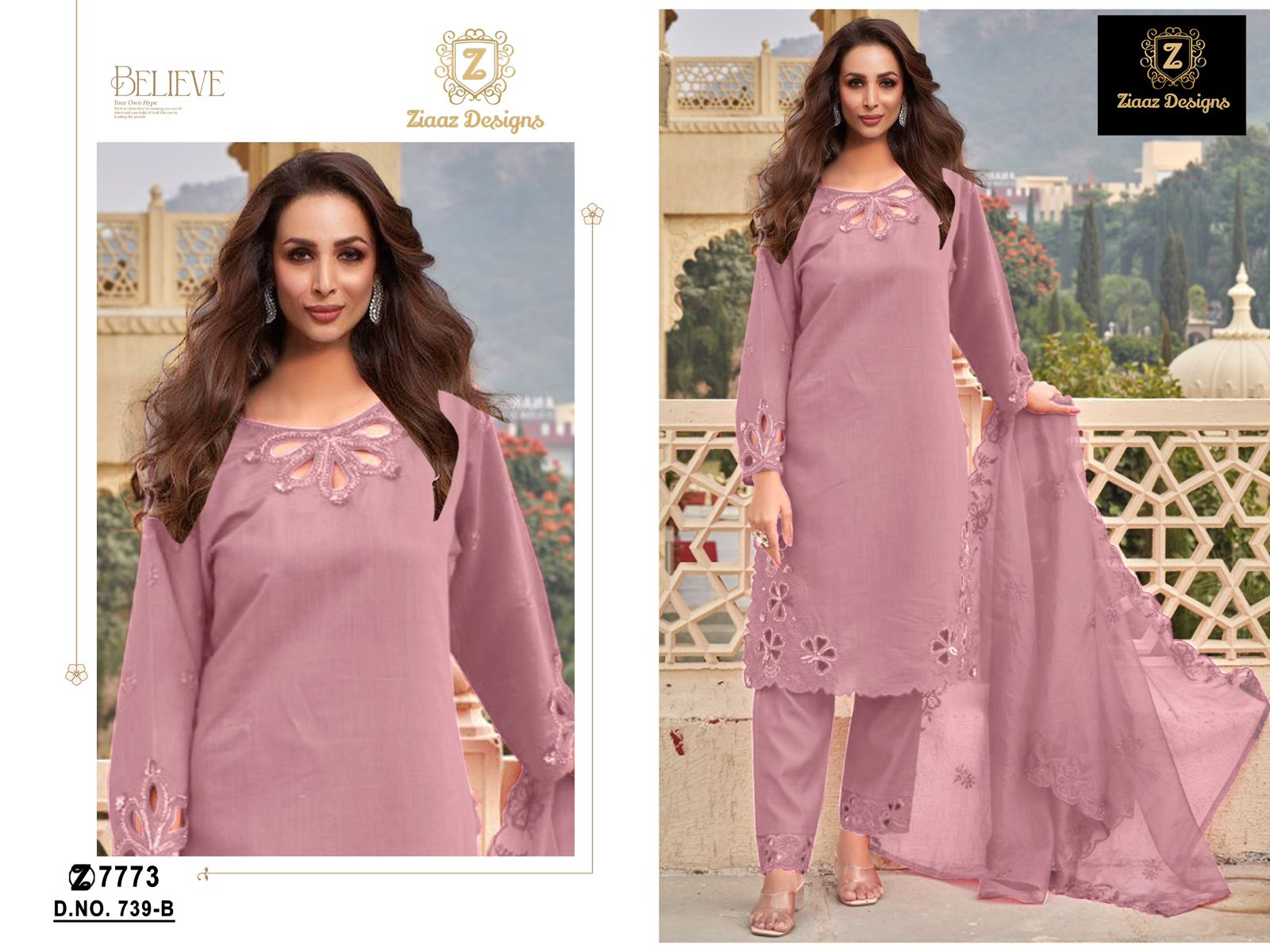 739Abcd Ziaaz Designs Organza Pakistani Salwar Suits Exporter