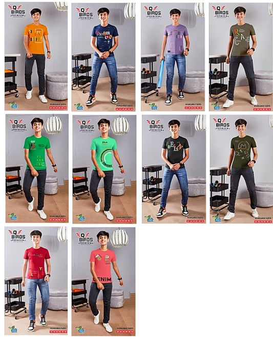 Premium Q Bird Cotton Biowashed Boys Tshirt Wholesaler India