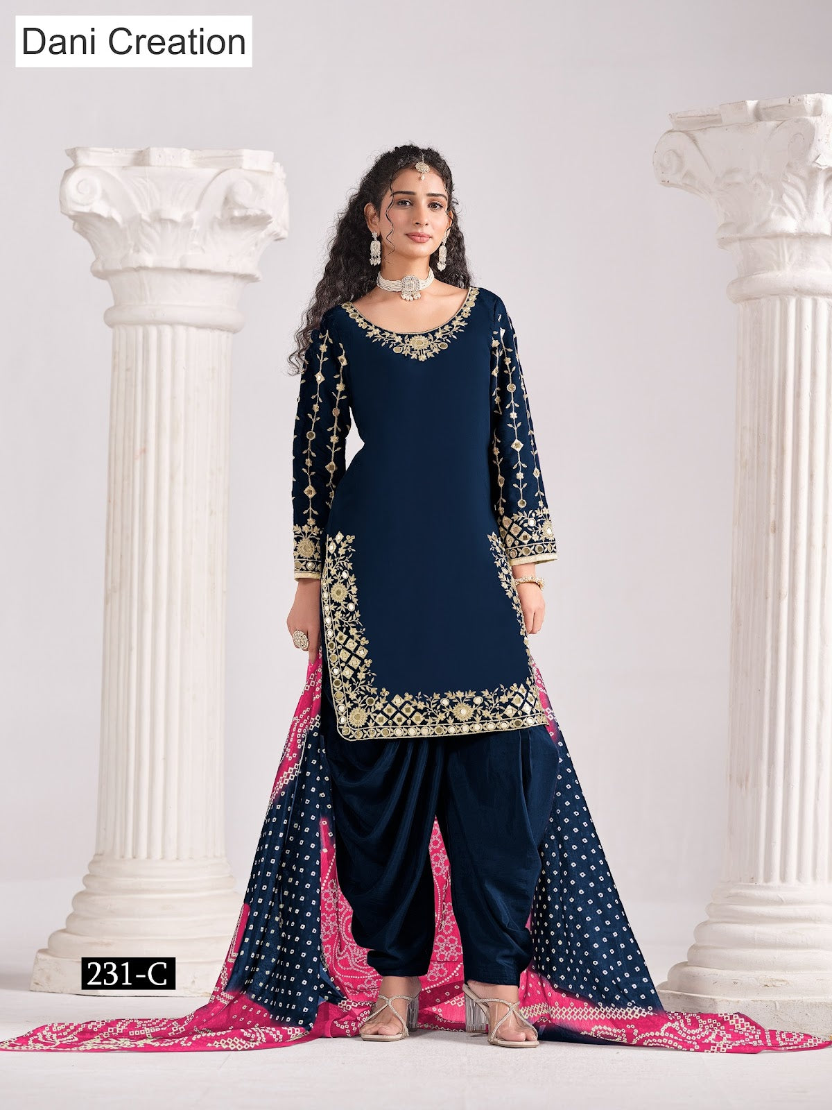 Aanaya Vol 231 Dani Creation Chanderi Salwar Suits Wholesaler Ahmedabad