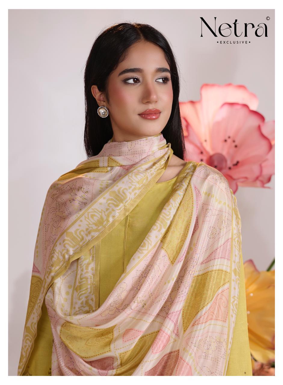 Aarna Vol 10 Netra Bemberg Muslin Pant Style Suits Wholesale Price