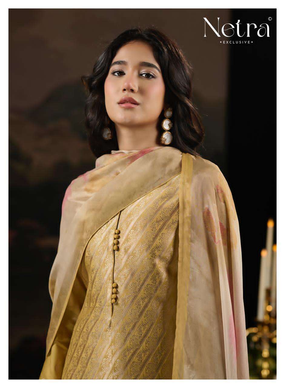 Aarna Vol 8 Netra Bemberg Muslin Pant Style Suits Manufacturer Gujarat