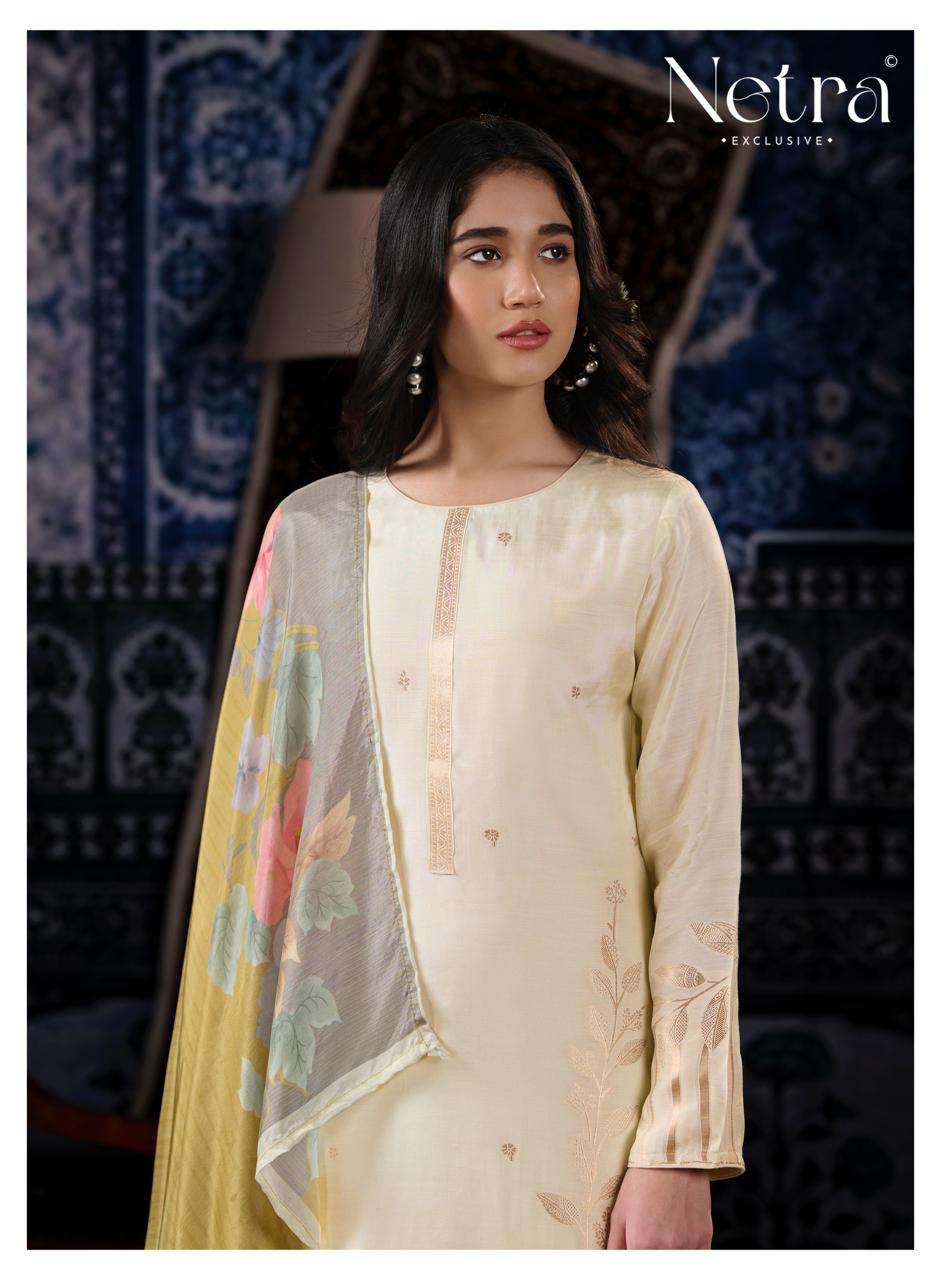 Aarna Vol 9 Netra Bemberg Muslin Pant Style Suits Wholesaler Gujarat