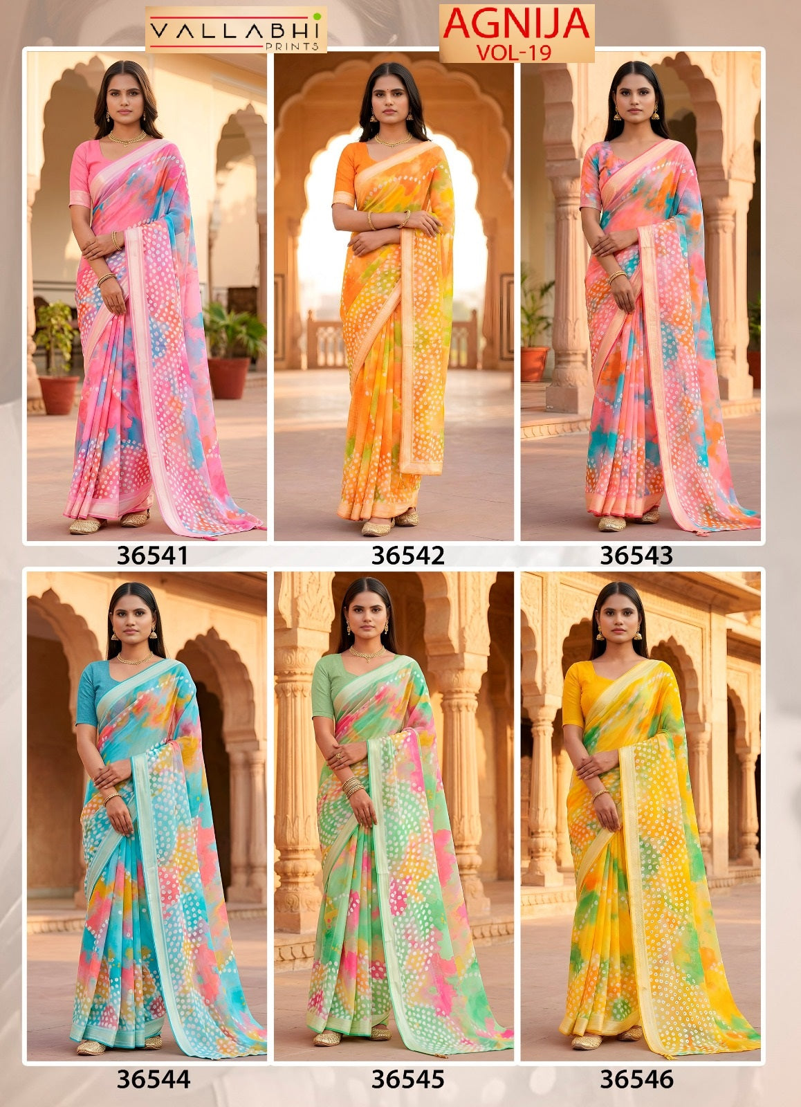 Agnija Vol 19 Vallabhi Prints Georgette Sarees Manufacturer