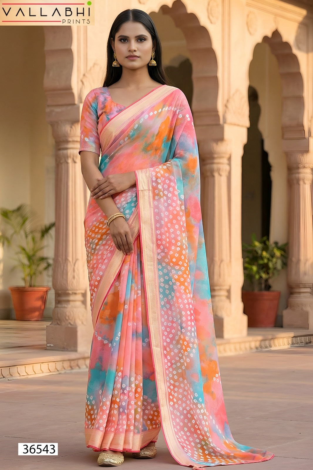 Agnija Vol 19 Vallabhi Prints Georgette Sarees Manufacturer