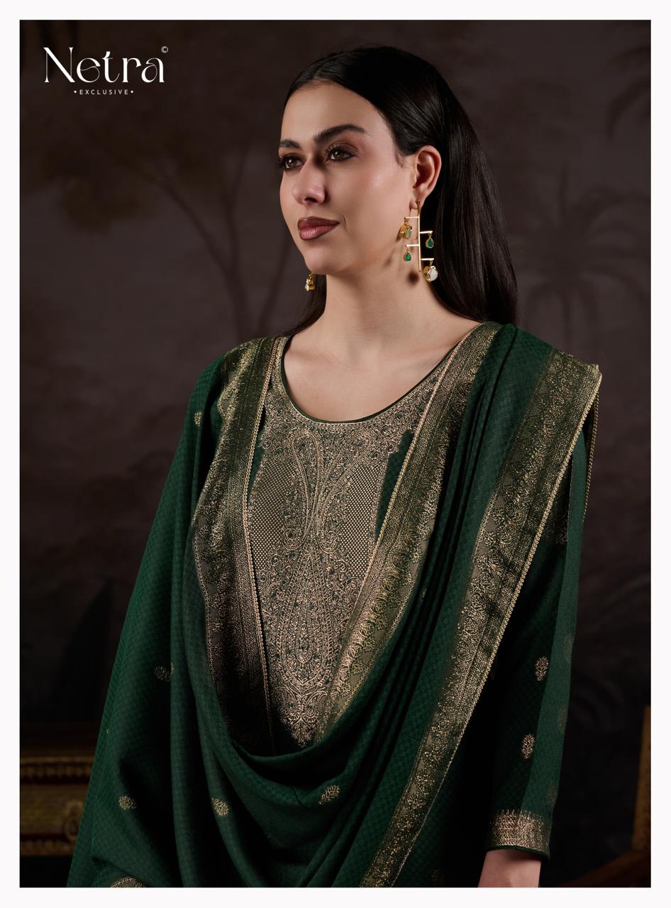 Ahana Netra Pashmina Suits Wholesaler Ahmedabad