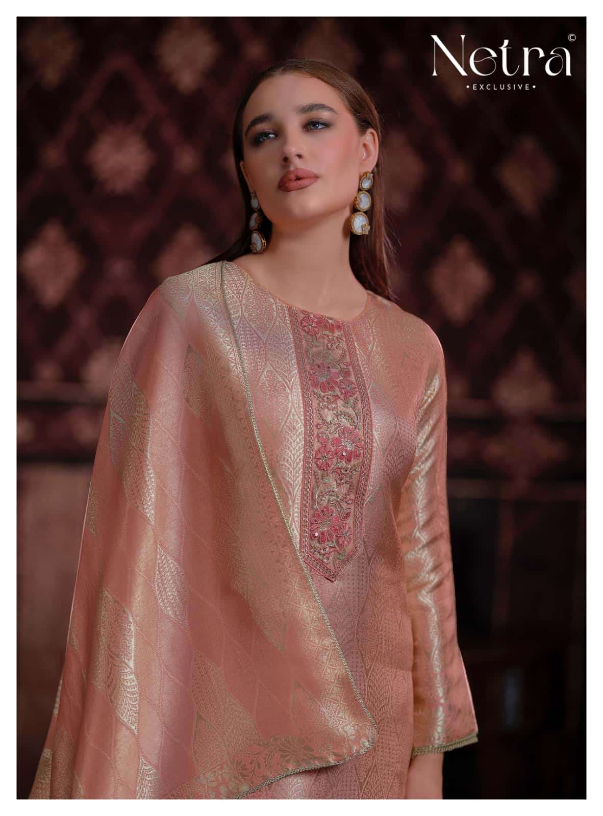 Aliya Netra Bemberg Silk Pant Style Suits Exporter