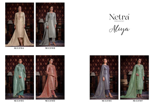 Aliya Netra Bemberg Silk Pant Style Suits Exporter