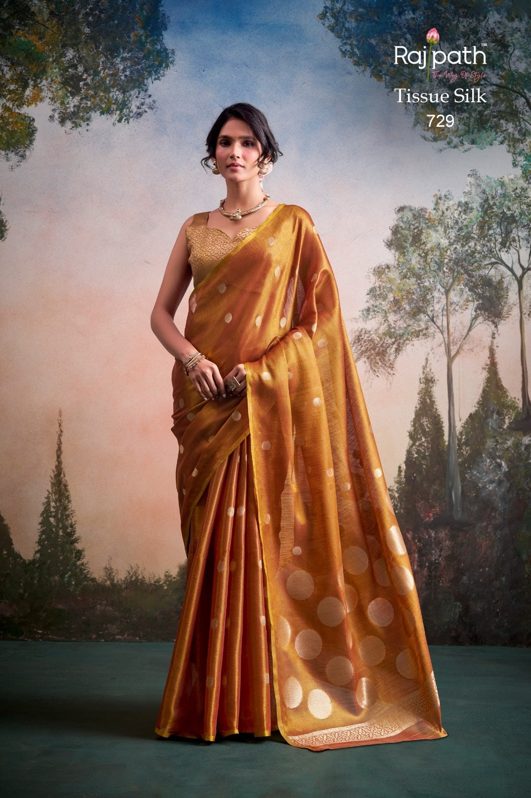 Anvika Doller Silk Rajpath Tissue Silk Sarees Supplier Ahmedabad