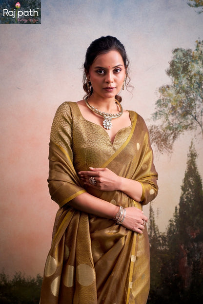 Anvika Doller Silk Rajpath Tissue Silk Sarees Supplier Ahmedabad