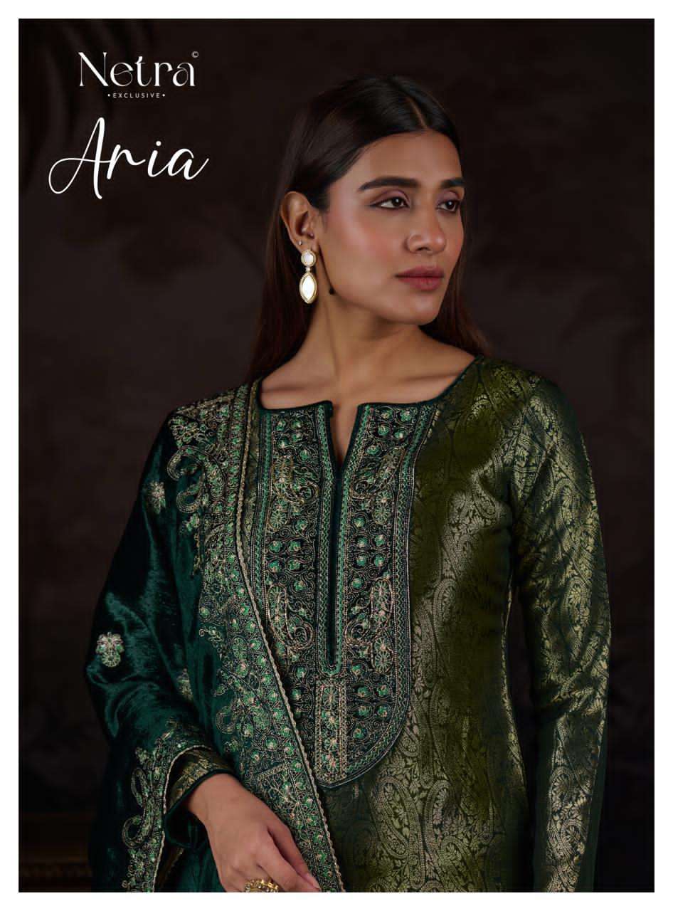 Aria Netra Pure Silk Velvet Suits Manufacturer