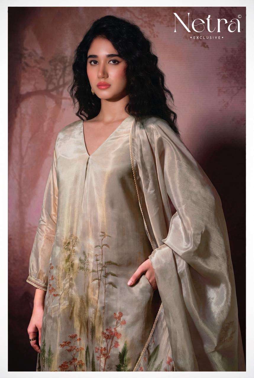 Arpita Netra Gadwal Silk Pant Style Suits Wholesale Price