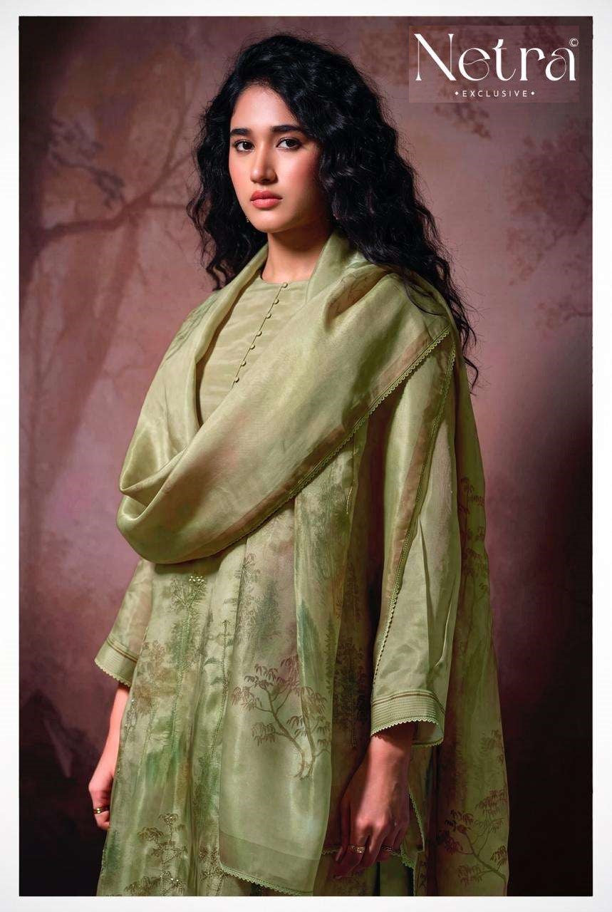 Arpita Netra Gadwal Silk Pant Style Suits Wholesale Price