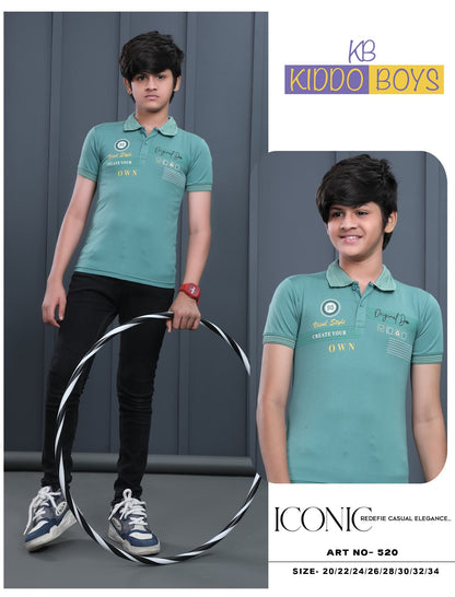 Art No 520 Kiddo Tencil Lycra Boys Tshirt Supplier India