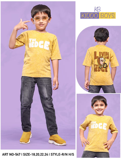 Art No 547 Kiddo Acid Wash Boys Tshirt Exporter India