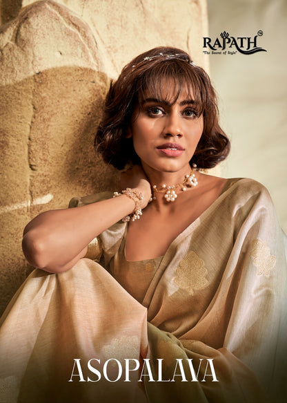 Asopalava Rajpath Handloom Silk Sarees Wholesaler Ahmedabad