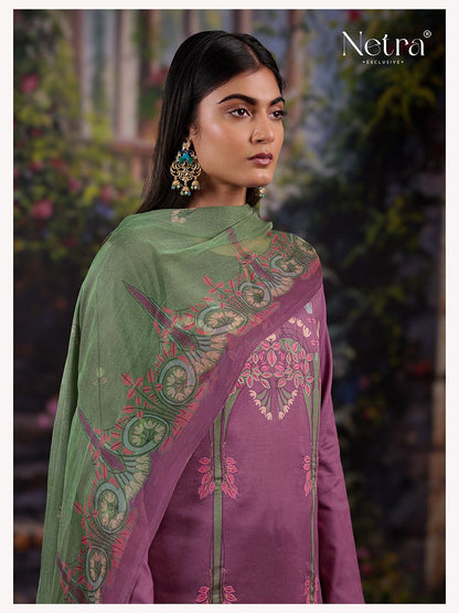 Aura Netra Premium Cotton Pant Style Suits Manufacturer