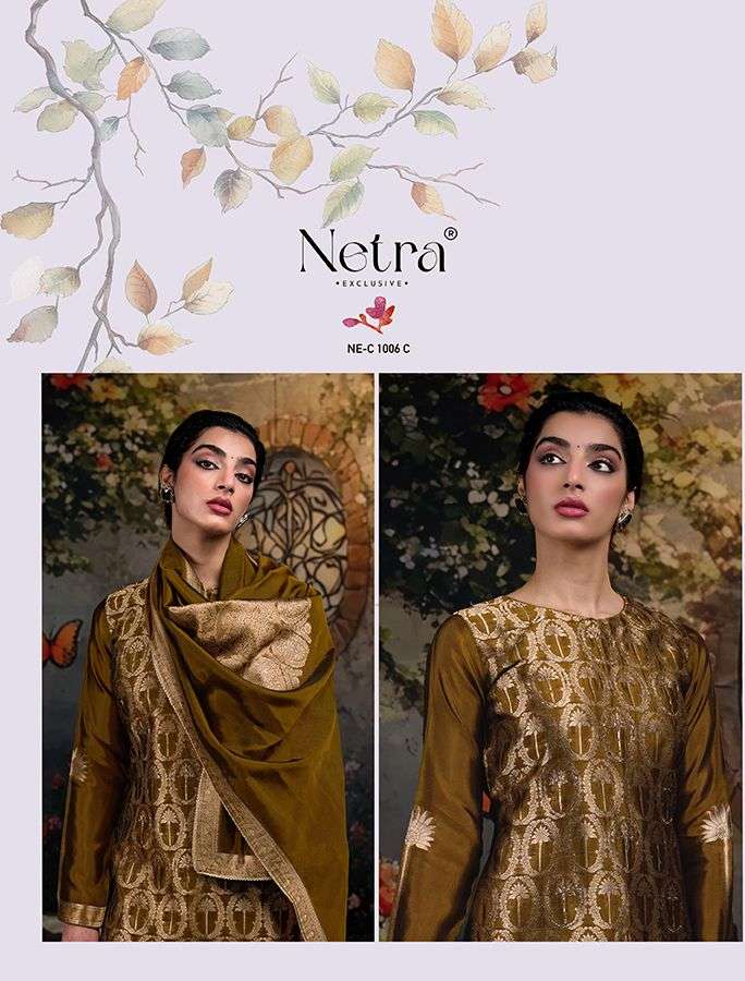 Ayaka Netra Premium Viscose Pant Style Suits Manufacturer India