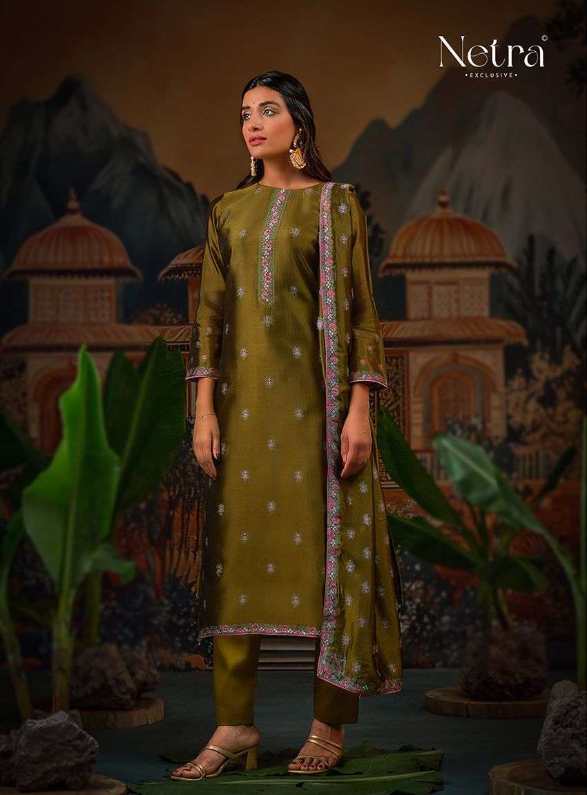 Ayla Netra Premium Viscose Pant Style Suits Supplier India