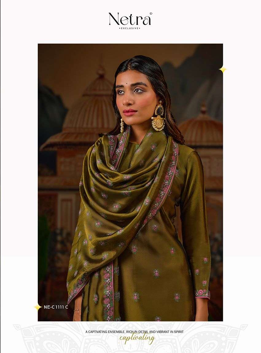 Ayla Netra Premium Viscose Pant Style Suits Supplier India