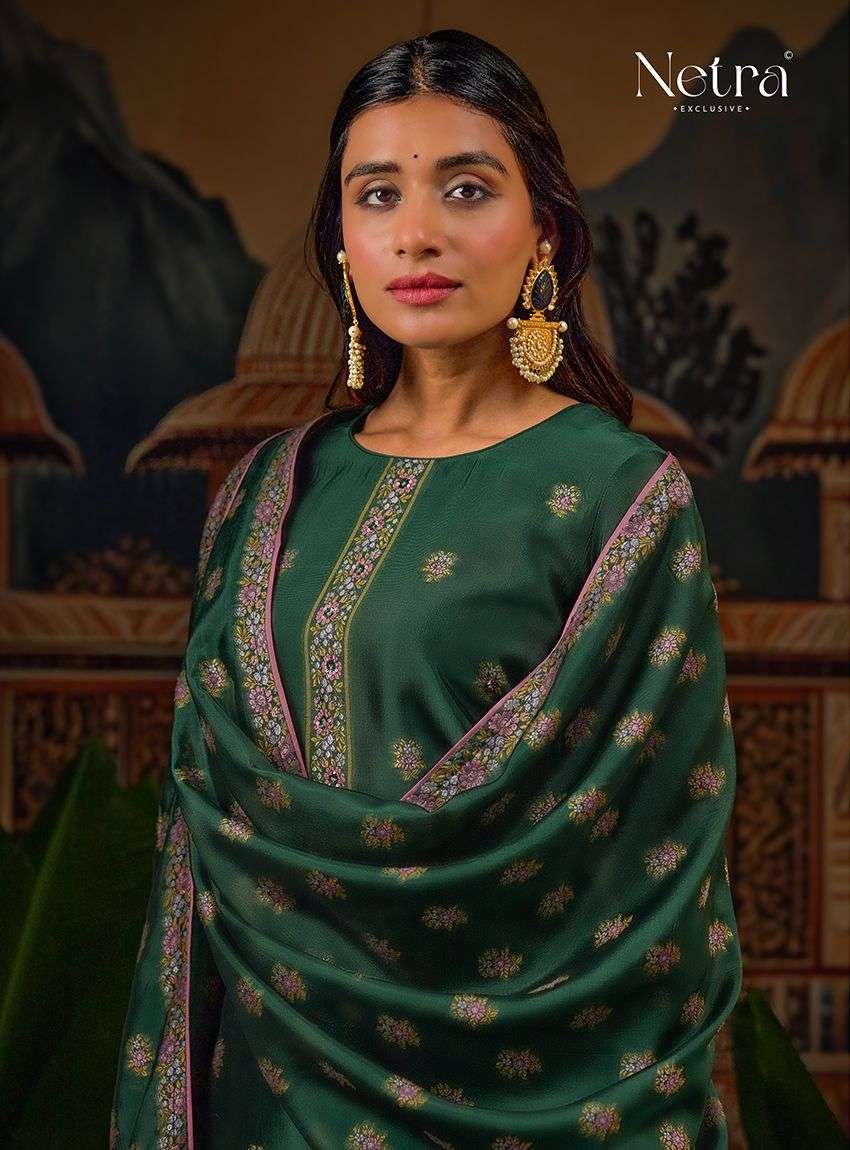 Ayla Netra Premium Viscose Pant Style Suits Supplier India