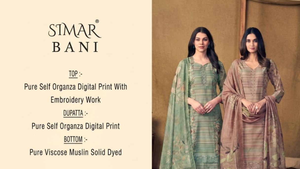 Bani Organza Simar Pant Style Suits Supplier India