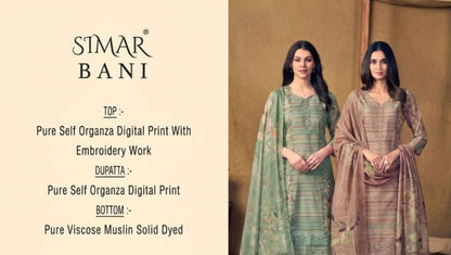 Bani Organza Simar Pant Style Suits Supplier India