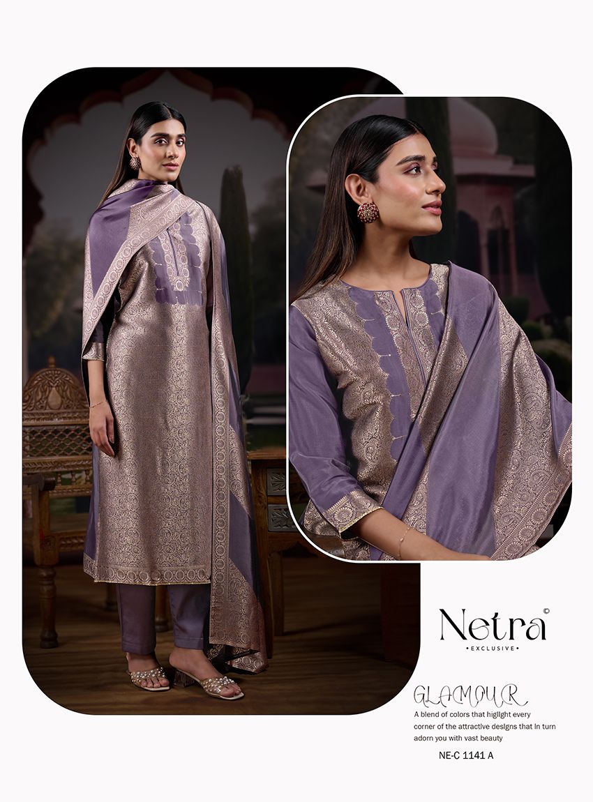 Barkha Netra Premium Viscose Pant Style Suits Supplier India