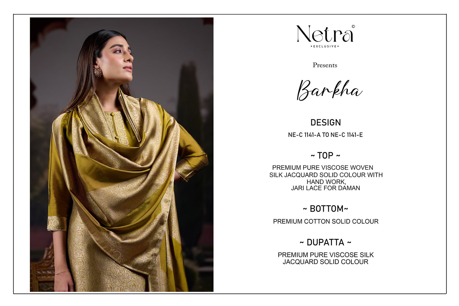 Barkha Netra Premium Viscose Pant Style Suits Supplier India