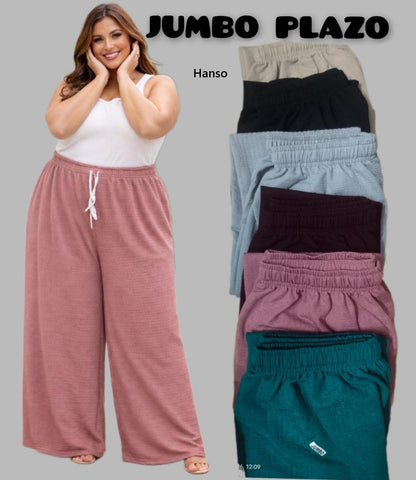 Big Plus Size Hanso Branded Palazzo Manufacturer