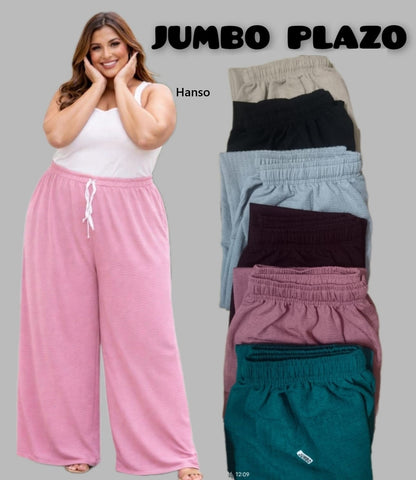 Big Plus Size Hanso Branded Palazzo Manufacturer
