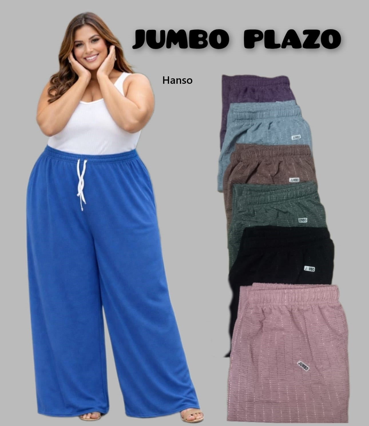Big Plus Size Hanso Branded Palazzo Manufacturer