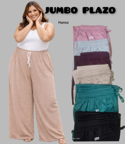 Big Plus Size Hanso Branded Palazzo Manufacturer