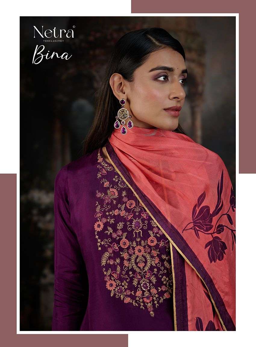 Bina Netra Premium Bemberg Pant Style Suits Manufacturer