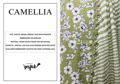 Camellia Yesfab Modal Pant Style Suits Manufacturer Gujarat