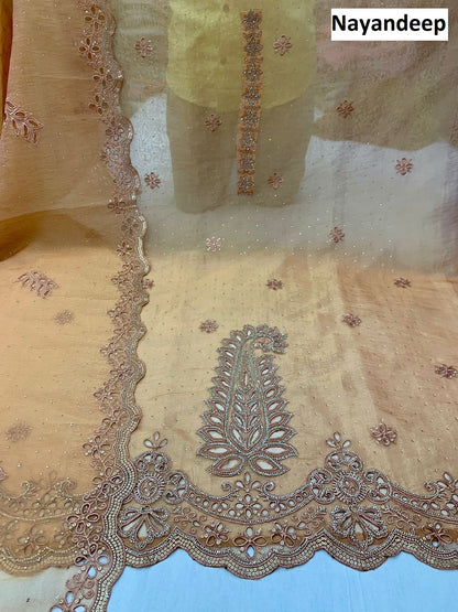 Carnival Nayandeep Silk Salwar Suits Manufacturer Ahmedabad