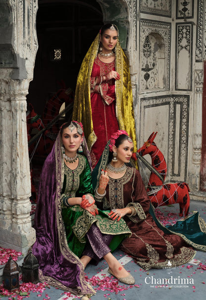 Chandrima Cinderella Velvet Suits Wholesaler Gujarat