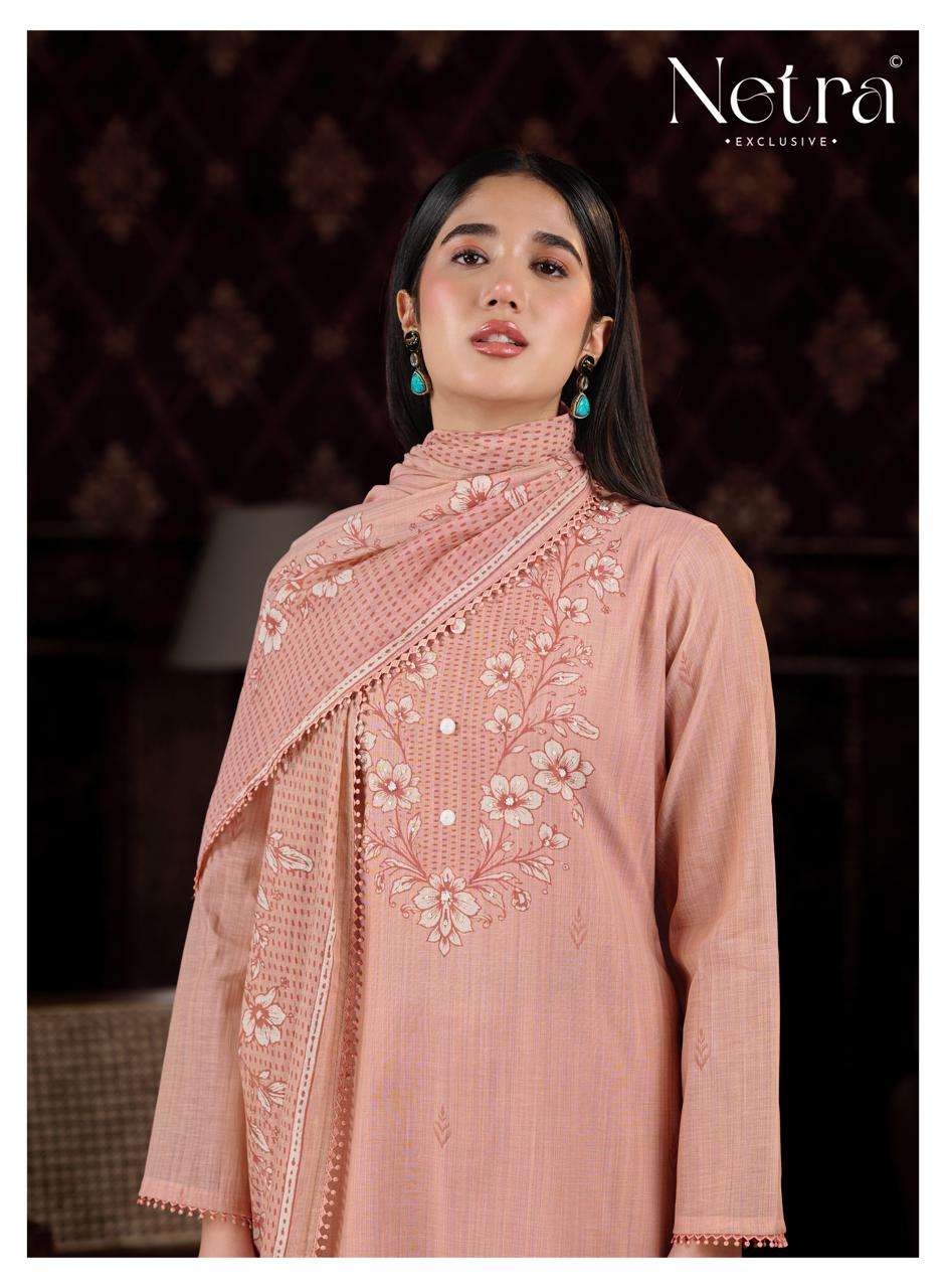 Charika Netra Banarasi Pant Style Suits Manufacturer Ahmedabad